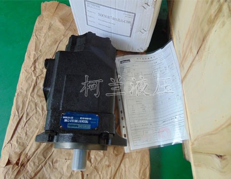 丹尼遜T6DCM B17 B05 3L01 C1M0 葉片泵