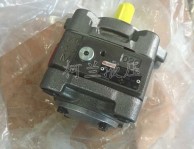力士樂PGH4-30/020RE11VU2齒輪泵